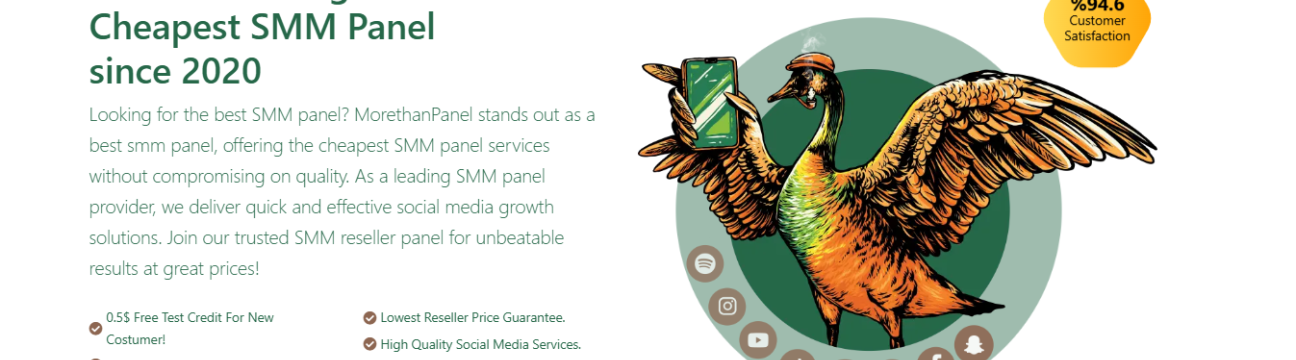 MoreThanPanel Official
