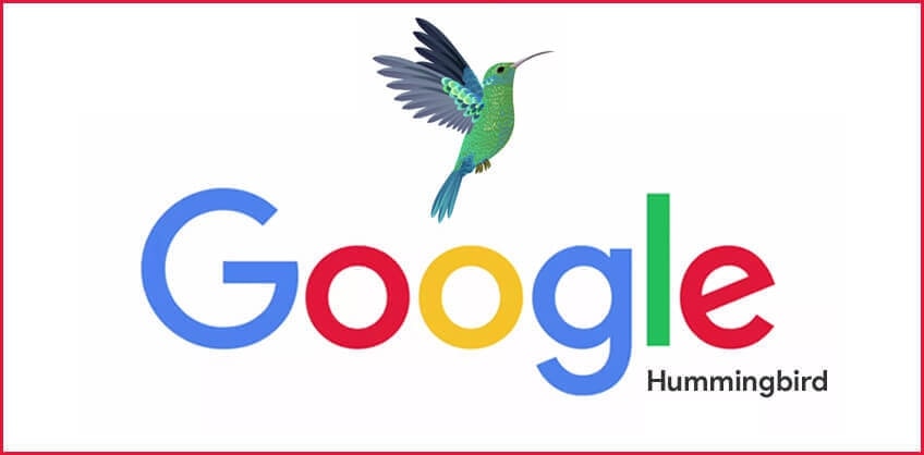 Google Hummingbird là gì? Thuật toán Hummingbird hoạt động như thế nào?